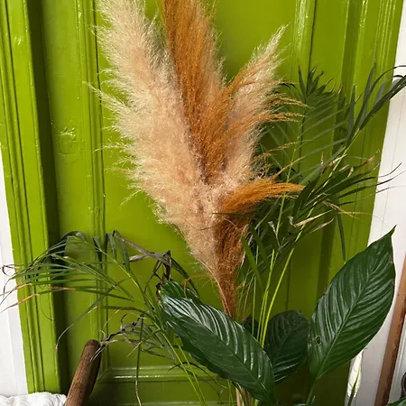 Charming In North Center Apartment