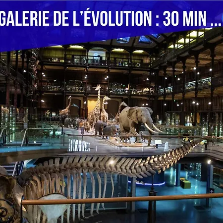 דירה Charming In North Center *