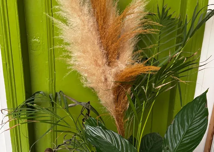 Charming In North Center דירה