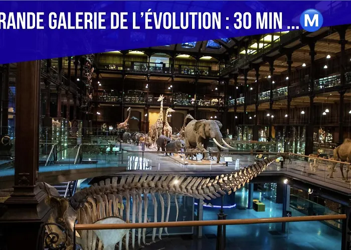 דירה Charming In North Center *